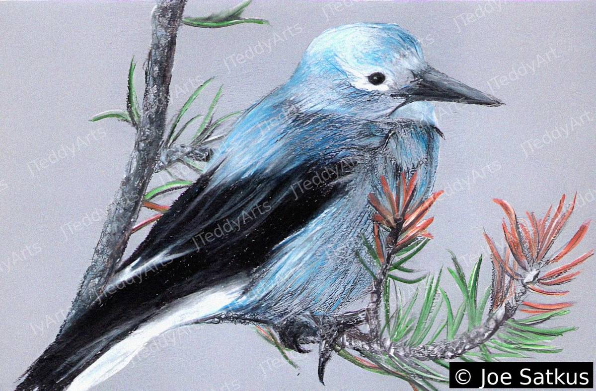 Blue Bird print