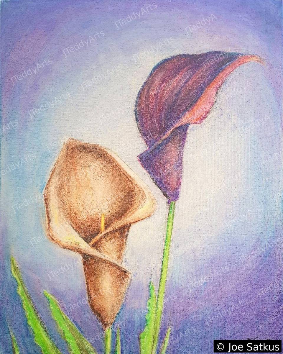 Two Lilies print, two calla lilies