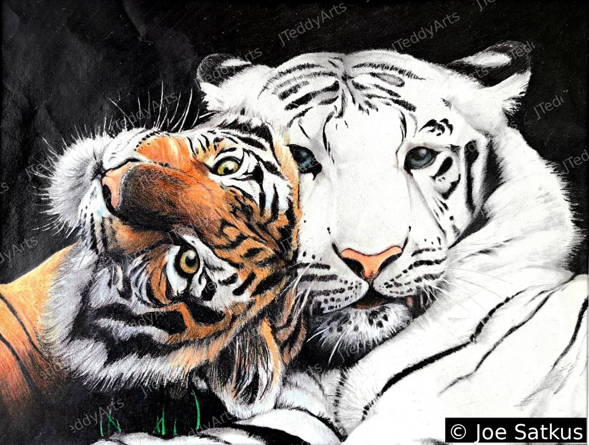 Two Tigers print, an orange tiger and a white tiger